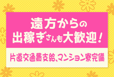 出稼ぎさん大歓迎！