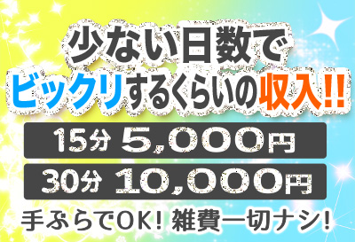 ビックリする収入！