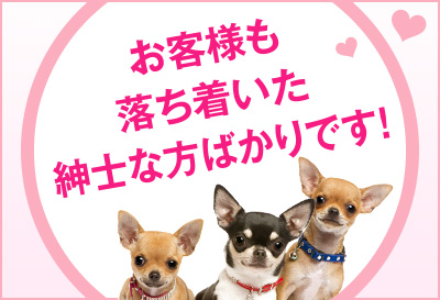 落ち着いた紳士的なお客様ばかり
