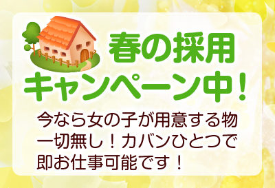 春の採用キャンペーン中