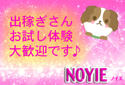 出稼ぎさん・お試し体験歓迎！