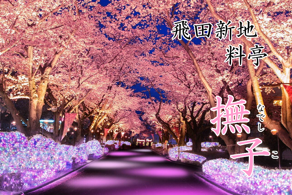 飛田新地求人【撫子】