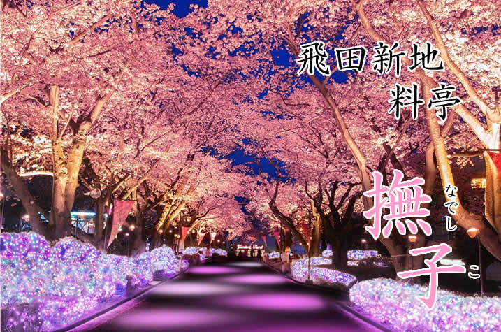 飛田新地【撫子】