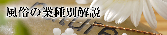 風俗の業種別解説